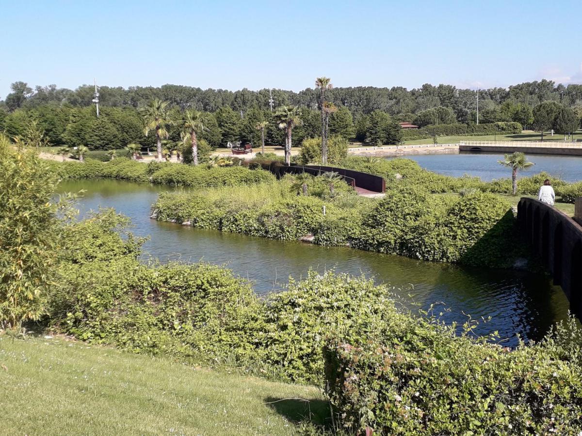 Centrico Y Con Encanto En Tierra De Vinos Logroño Kültér fotó
